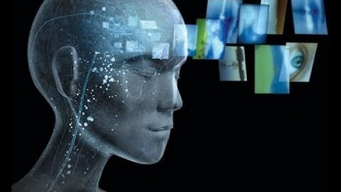 How Do We Perceive Consciousness? (w/ Stanislas Dehaene)