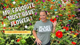 Detailed Why Mexican Sunflower (Tithonia) is My #1 MUST-GROW Seed! 🌻Discover Its Magic! | The Southern Daisy Details
