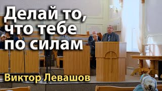 Делай то, что тебе по силам | Виктор Левашов