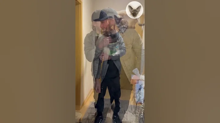 Watch the video about It's very nice when my favorite pets meet me 💖😍💖 cat meets owner | oriental cats 💖 #cutecat #cats