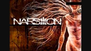 Narsilion (Richmond, VA) - A Shadow Of My Former Self