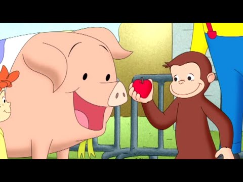 Curious George 🐵Curious George, Hog trainer 🐵 Kids Cartoon 🐵 Kids Movies 🐵Videos for Kids