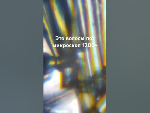 волосы под микроскопом - YouTube