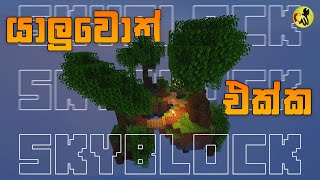 යාලුවොත් එක්ක SkyBlock | CWR Minecraft