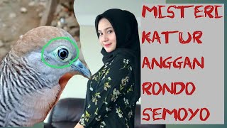 FAKTA PERKUTUT KATURANGGAN RONDO SEMOYO - JARANG DIKETAHUI