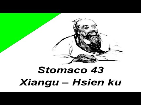 Video: Influenza Del Contesto Di Interazione Paziente-professionista Sugli Esiti Dell'agopuntura Nella Dispepsia Funzionale: Protocollo Di Studio Per Uno Studio Multicentrico Randomi