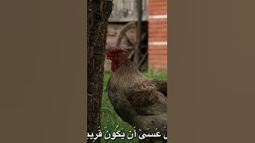 القارئ: محمد صديق المنشاوي سورة:الإسراء [الآية-51] #المصحف #اكسبلور #explore #foryou #fypシ゚viral