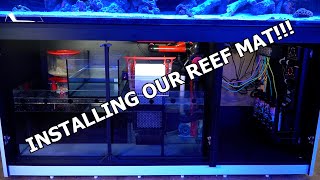 Redsea Reefer 750XXL G2 Display Aquarium. ReefMat 1200 and ReefDose 4 Installation.
