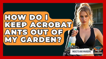 How Do I Keep Acrobat Ants Out Of My Garden? - Insects and Invaders
