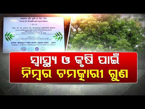 Importance Of Neem In Health & Agriculture | CSIR-NBRI Training Camp On Bio-Fertilizers | Argus News