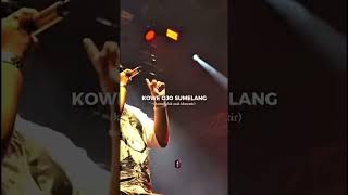 koyo Jogja istimewa #ndarboygank #viralmusic #song #dailymusic #lyrics #liriklagu