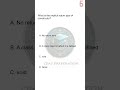java CCAT CCEE MCQ 20