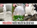 ❄ Mùa Đông ở đất nước người ta Có gì vui ❄ P1   | Douyin |Tiktok | Trân Châu Đen