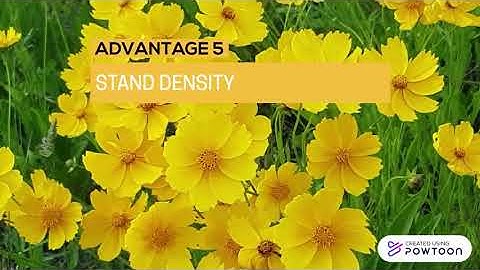 OBJECT BASED IMAGE ANALYSIS (OBIA)