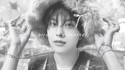 seungmin - birds of a feather (slowed + reverb)