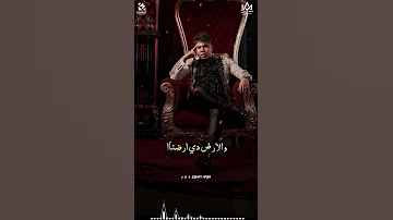 احنا نجوم البلد ديه 