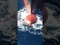 Запишем вместе #shorts #шортс #reels #nature #моряк #life #ship #vlog