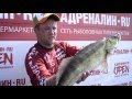 Соревнования Адреналин.Ru Open 2016 часть 1