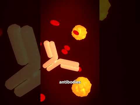 How Antivenom Saves