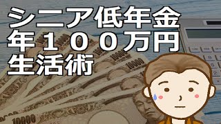 シニア低年金年１００万円生活術　年間１００万円でも日々楽しみつつ生活を繋いでいく方法はあります by 新貧乏ながら気楽な人生TV 14,700 views 1 month ago 17 minutes