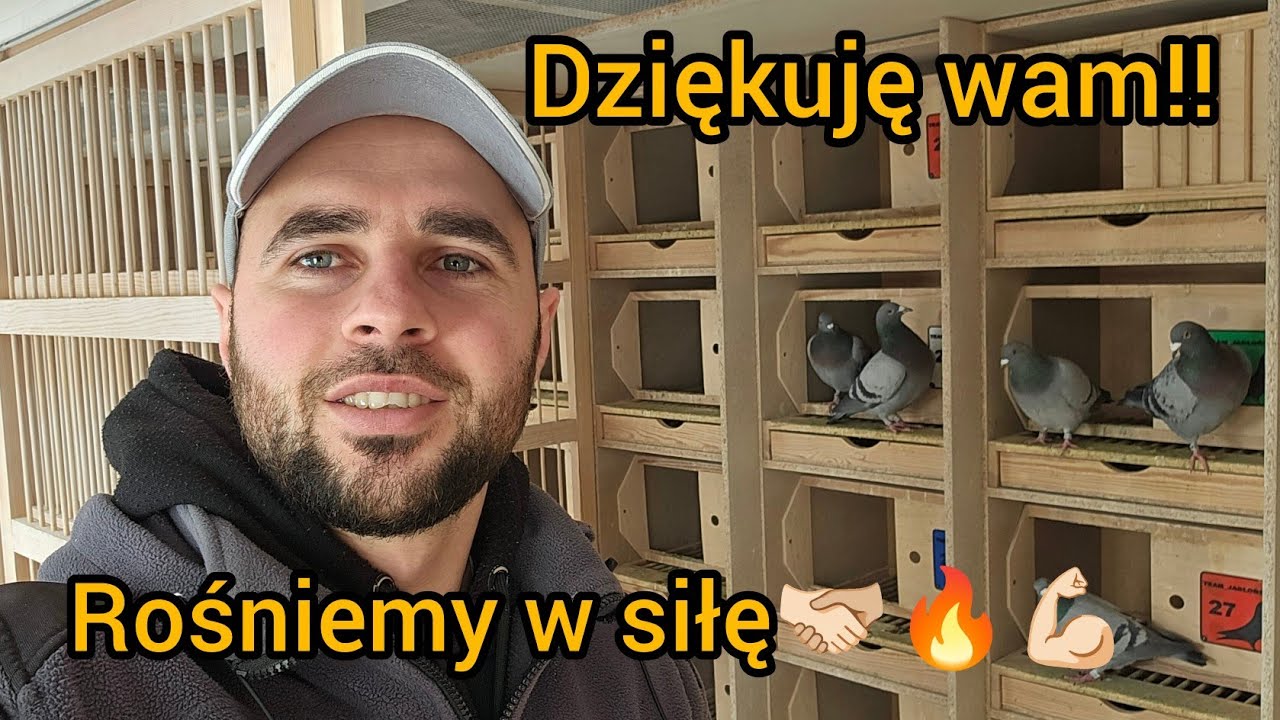 MAMY TO‼️ SKLEP INTERNETOWY ✅️+ DO ROZDANIA 10 MŁODYCH Z MOJEJ HODOWLI DLA WAS🔥🫱🏻‍🫲🏼 A TO DZIĘKI WAM