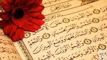 أجمل حالات واتس اب {سورة الرحمن}