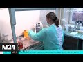 Специалист рассказал, что происходит в клетках после заражения COVID-19 - Москва 24