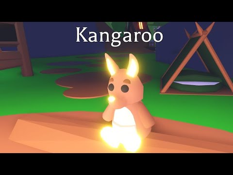 neon kangaroo