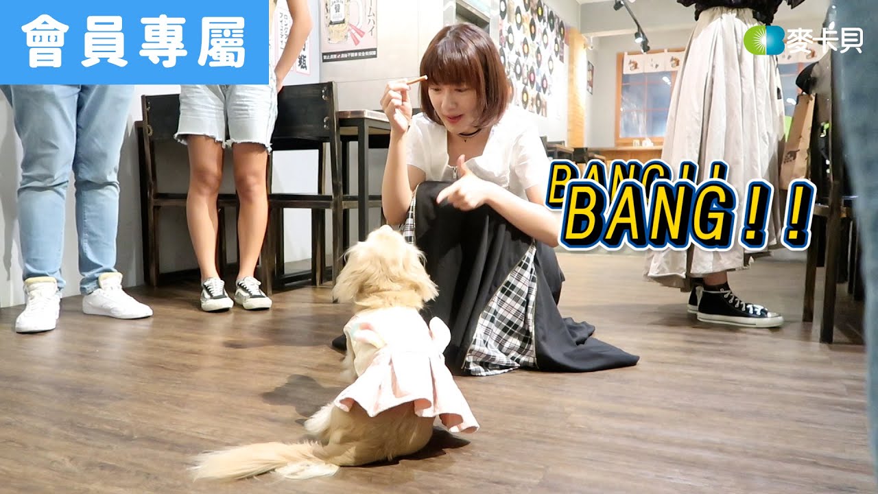[Behind]上班…去摸狗(❁´◡`❁)