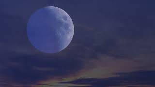 Moonlight DreamsRelax, Watch, and Let Go... #MoonlightVibes#CelestialCalm#DreamUnderTheStars
