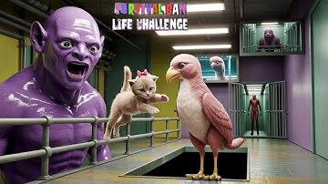 ‎Bird Monster Life Challenge 5 – Chapter 3 Gameplay on Android & iOS | Part 2‎