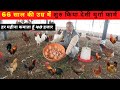 कम पूजी से शुरु कर देसी मुर्गा फार्म आप भी हर महीना कमाए 30 से 40 हजार  II #desimurga #freerange