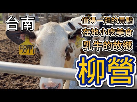 [台南]柳營不是只有牧草香#吉寶媽日常#台南美食#柳營美食