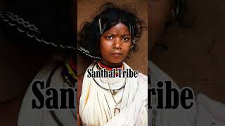 Top 5 Indian Tribes And Their Cultural Traditions