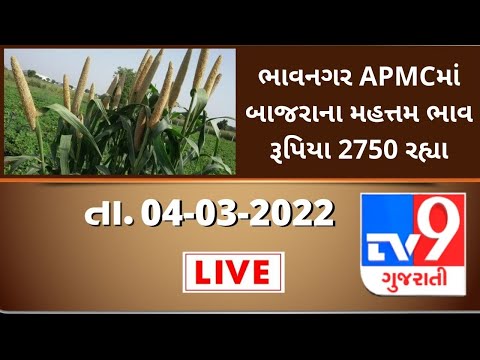 Mandi: ભાવનગર APMCમાં બાજરાના મહત્તમ ભાવ રૂપિયા 2750 રહ્યા | Tv9News