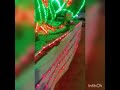 Dragon Shaped Crib - Christmas 🎄🎅 Lights 2021🎄