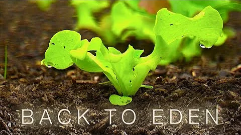 Back To Eden Gardening Documentary Film - How to Grow a Regenerative Organic Garden