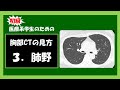 【医療系学生】初心者向け胸部CT ３. 肺野