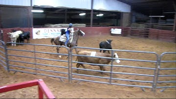 Valley View Ranch - Hannah Merada - sorting 9