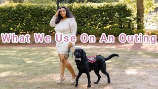 What To Take on An Outing with Your Service Dog (+ GEAR HAUL)