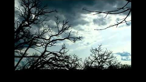الشيخ خالد الجليل - ما تيسر من سورة غافر