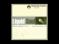 Strange Fruit Project The Dotted Line Symbolyc One Liquid Soul Remix mp3