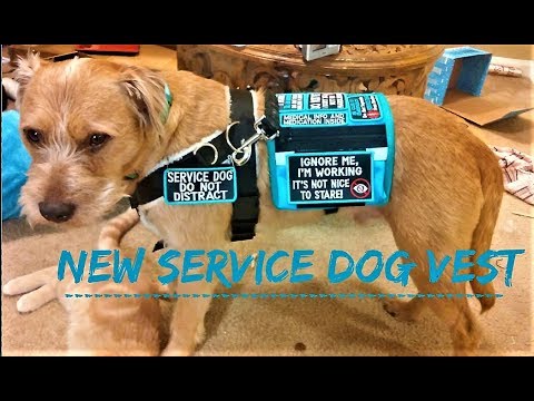 new-service-dog-vest-unboxing!