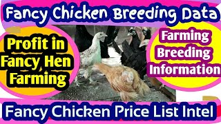 Fancy Chicken Breeding Farming Data Information. How many Eggs Fancy Chicken Lay in a Year. Price
