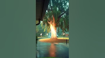 Lightning Struck The Tree and It EXPLODES⚡🌲 #lightningstrike  #caughtoncamera #treestrike