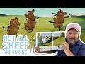 🐑 Read-Along with Bobby Moynihan | NOT ALL SHEEP ARE BORING! | Brightly Storytime Together