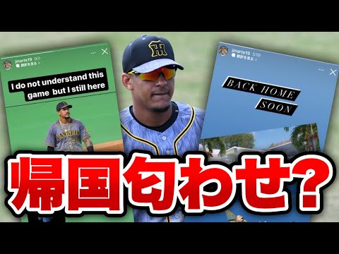 【激怒】阪神 マルテが帰国?インスタの匂わせストーリー