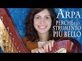 ARPA - perché è lo strumento più bello dell'Orchestra?