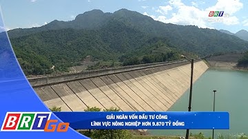 Giải ngân vốn đầu tư công lĩnh vực nông nghiệp hơn 9.870 tỷ đồng | BRT News