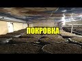 ПОКРОВКА! ШАМПИНЬОНЫ ! Покровный слой для Шампиньонов!